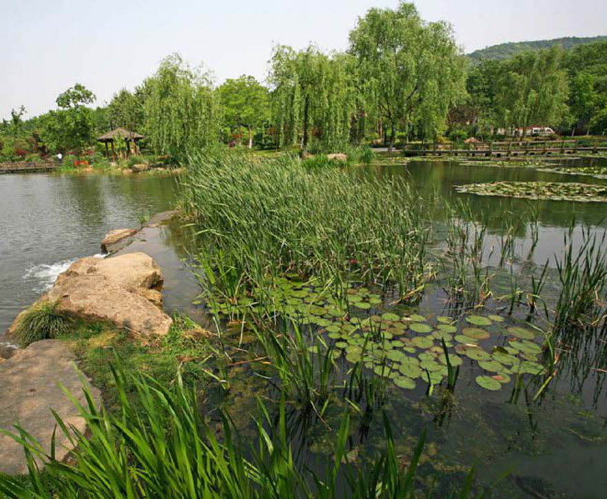 613f18ee5debc.png 第33页-163.png