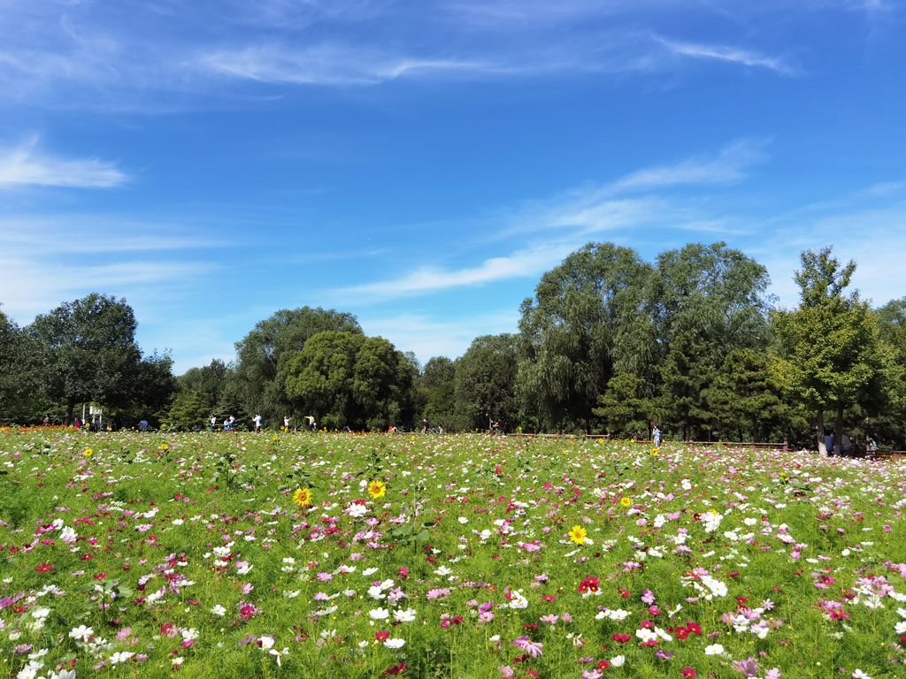 6522155e5fc22.jpg 6522155e5fc22.jpg